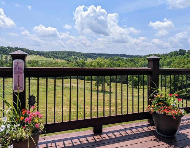 wooden deck featuring a yard