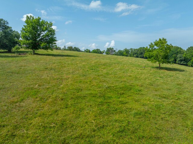 view of yard with a rural view