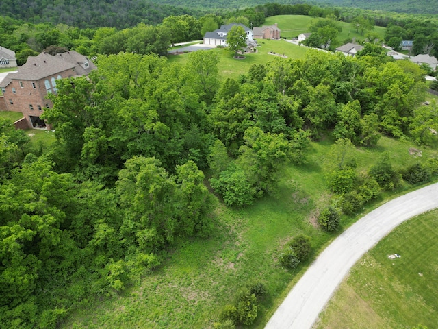 TBD Jacks Hollow Rd, Walnut Shade MO, 65771 land for sale