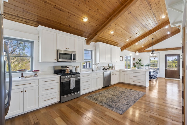 kitchen featuring kitchen peninsula, a healthy amount of sunlight, stainless steel appliances, and white cabinets