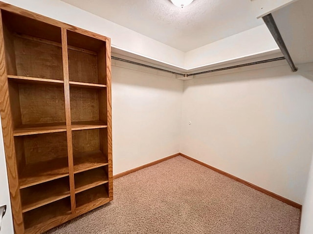 walk in closet with carpet