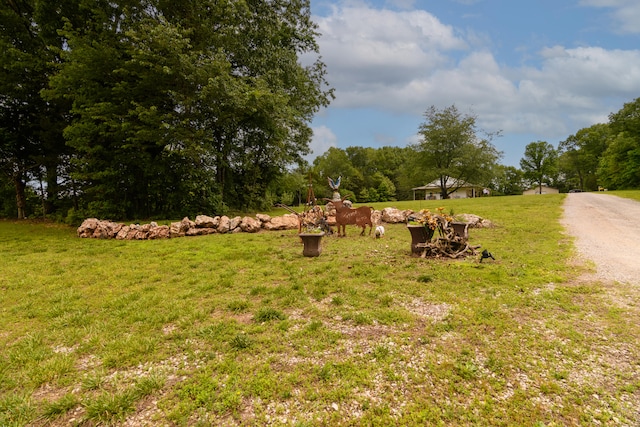 view of yard