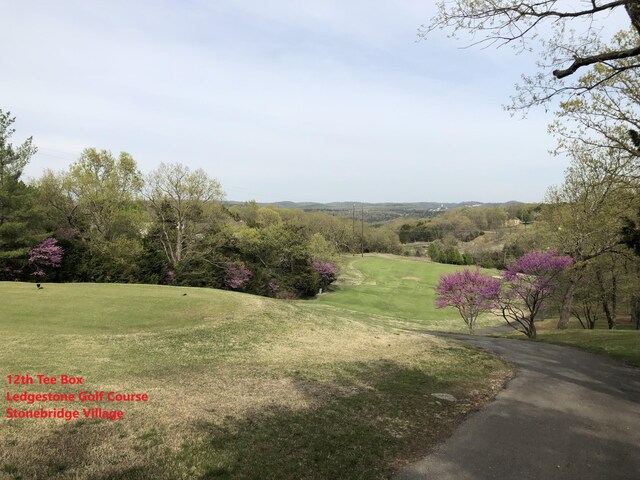120 Silver Oak Way, Branson West, MO 65737 - photo 11