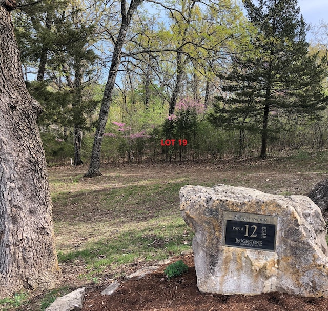 120 Silver Oak Way, Branson West, MO 65737 - photo 1