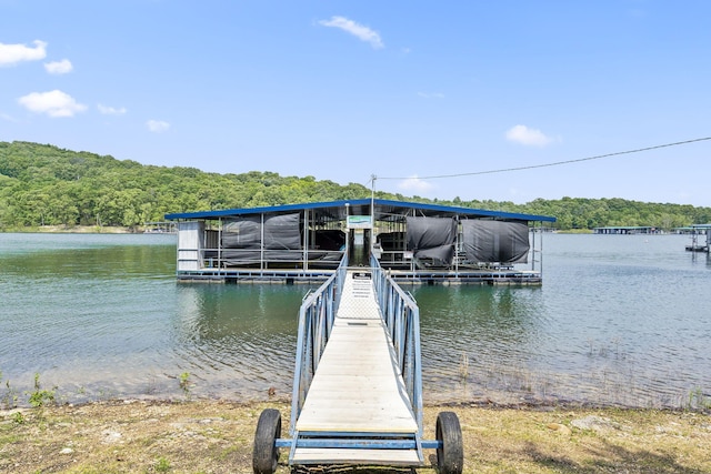 dock area with a water view