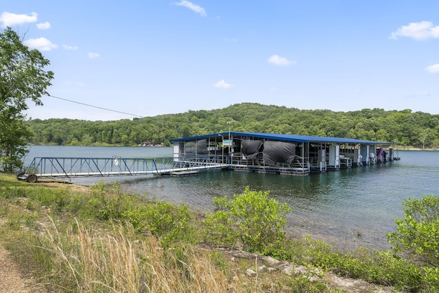 dock area featuring a water view