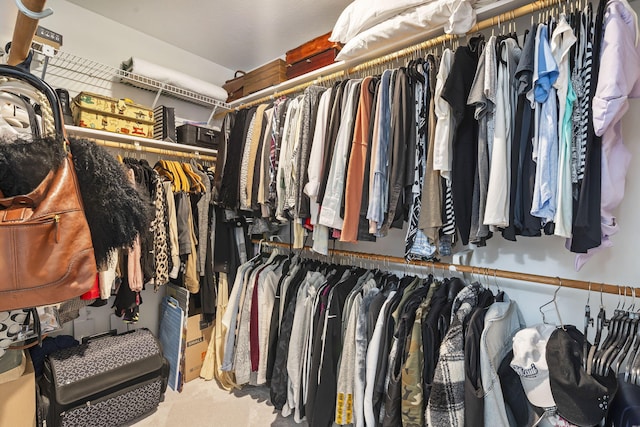 walk in closet featuring carpet flooring