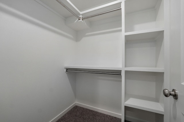 spacious closet with carpet