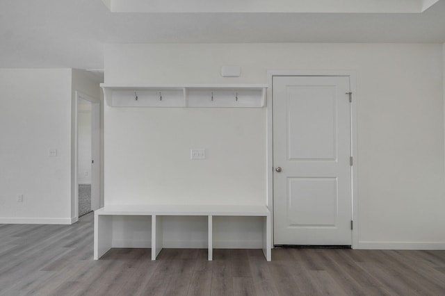 mudroom featuring hardwood / wood-style flooring