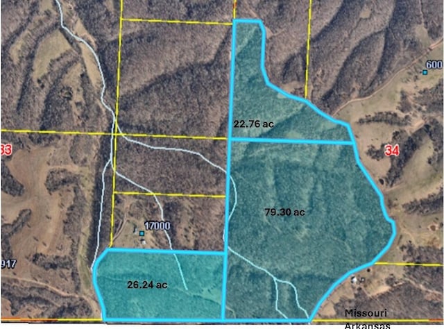 Listing photo 3 for 79.30ACRE Styles Rd, Noel MO 64854