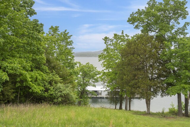 971 Point Seven Rd, Kimberling City, MO 65686 - photo 17