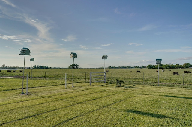 view of yard featuring a rural view