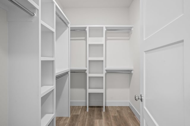 spacious closet with dark hardwood / wood-style flooring