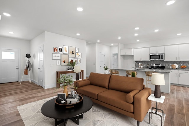 living room featuring light hardwood / wood-style flooring