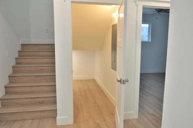 staircase featuring hardwood / wood-style flooring and electric panel