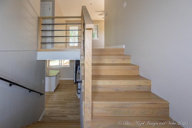 staircase featuring wood walls and wood-type flooring