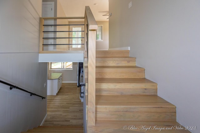 stairway featuring wood walls and wood finished floors