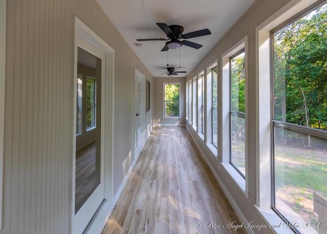 unfurnished sunroom with ceiling fan