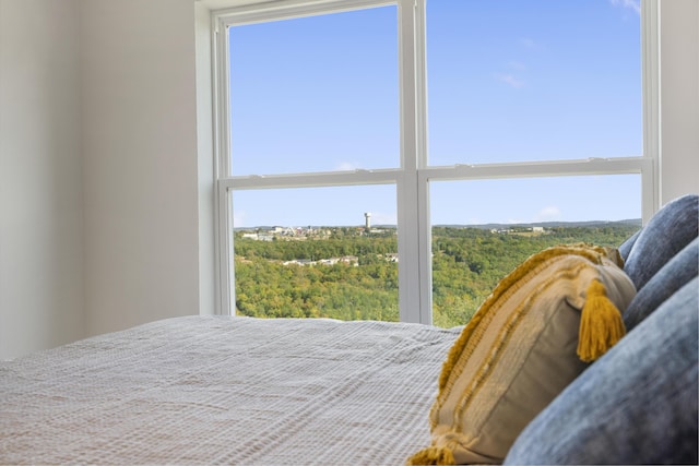 3006 N Vineyards Ter Unit 2, Branson, MO 65616 - bedroom with multiple windows
