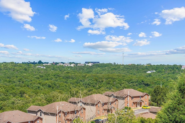 3006 N Vineyards Ter Unit 2, Branson, MO 65616 - photo 16