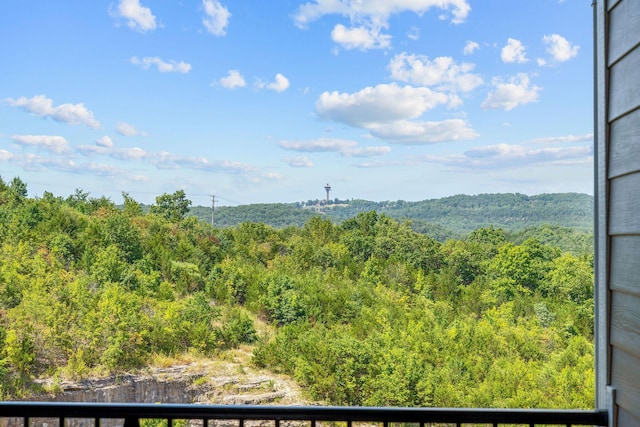 3006 N Vineyards Ter Unit 2, Branson, MO 65616 - photo 15