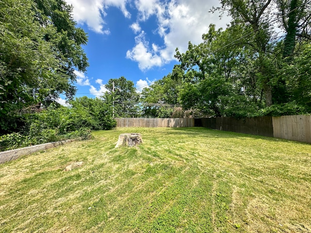 view of yard