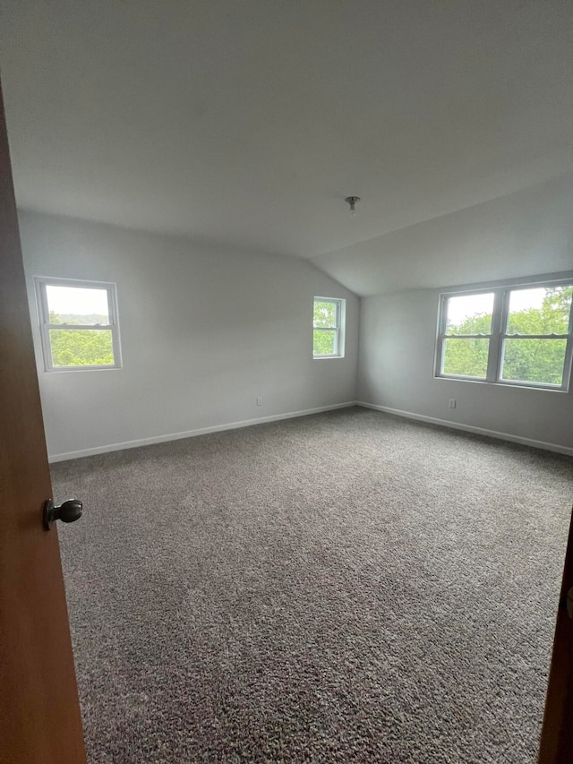 carpeted spare room featuring a wealth of natural light and vaulted ceiling