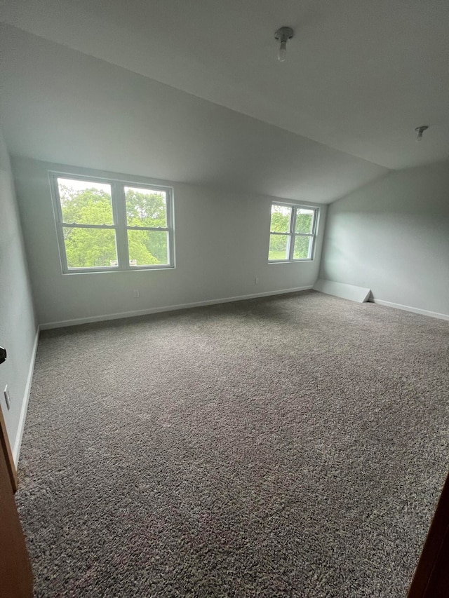 spare room with lofted ceiling, plenty of natural light, and carpet