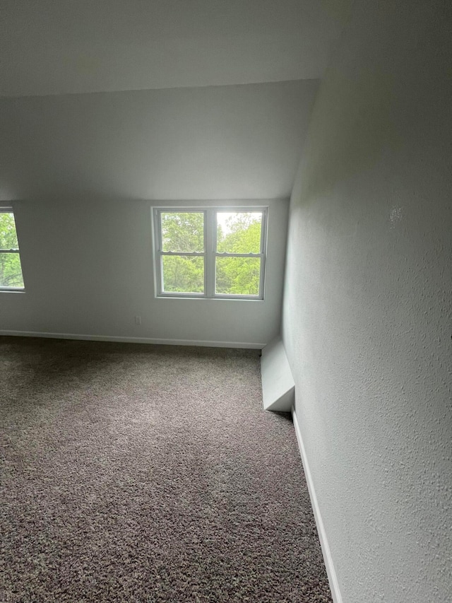 carpeted spare room with lofted ceiling and plenty of natural light