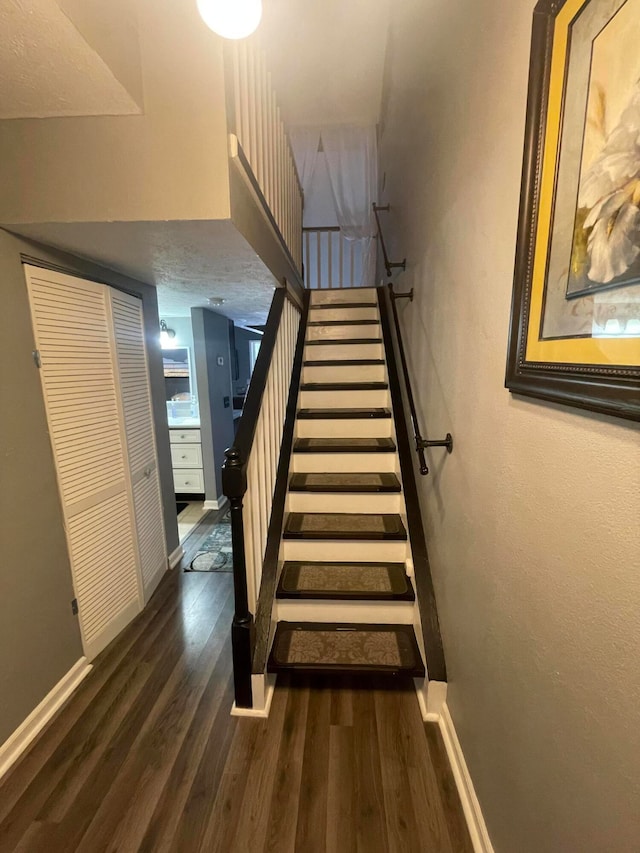 stairs with hardwood / wood-style floors