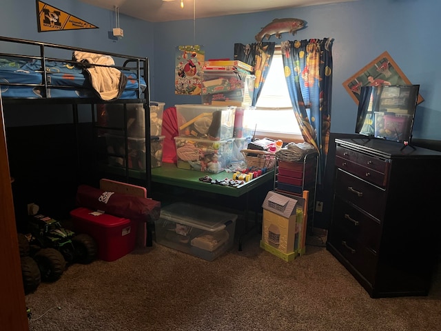 bedroom with carpet floors