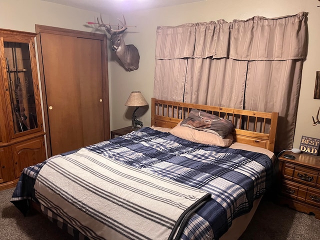 bedroom featuring dark colored carpet and a closet