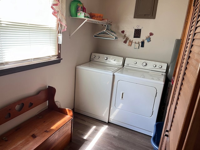 washroom featuring washing machine and dryer, electric panel, and dark wood-type flooring