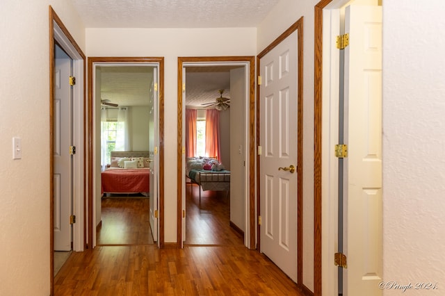 hall with dark wood-type flooring and a textured ceiling