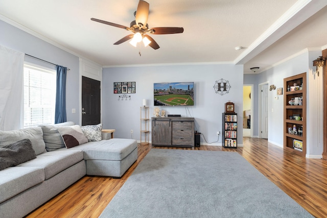 living room featuring ceiling fan, light hardwood / wood-style flooring, and crown molding