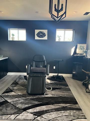 interior space with dark hardwood / wood-style floors and a wealth of natural light