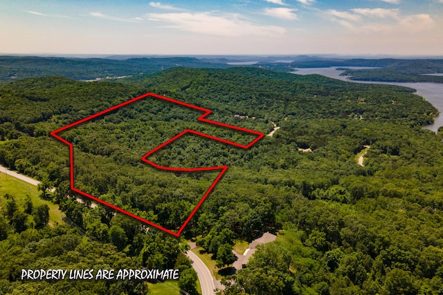 Listing photo 3 for TBD Pioneer Point Rd, Galena MO 65656