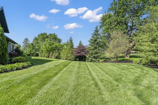5233 S Stirling Way, Springfield, MO 65809 - view of yard