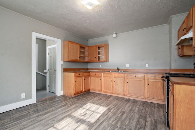 kitchen with stainless steel range with electric cooktop, a textured ceiling, sink, and dark hardwood / wood-style flooring