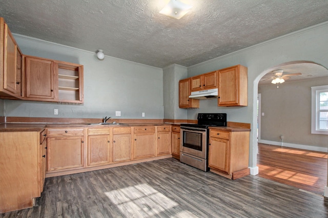 kitchen with ceiling fan, electric range, dark hardwood / wood-style flooring, ornamental molding, and a textured ceiling