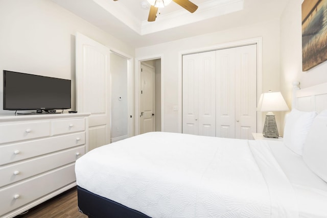 bedroom with ceiling fan, a raised ceiling, a closet, and dark hardwood / wood-style flooring