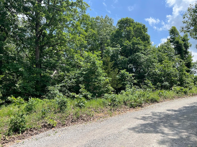 000 County Road 294, Urbana MO, 65767 land for sale