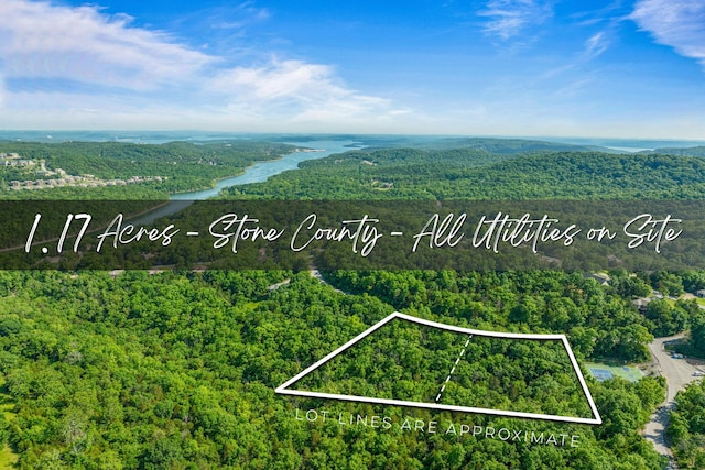 LOT215 Jackson Ln, Branson West MO, 65737 land for sale