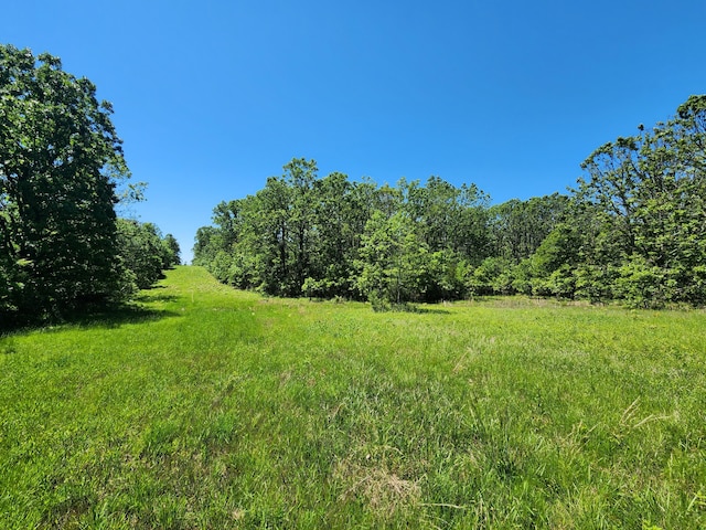 000 County Road 3330, Mountain View MO, 65548 land for sale