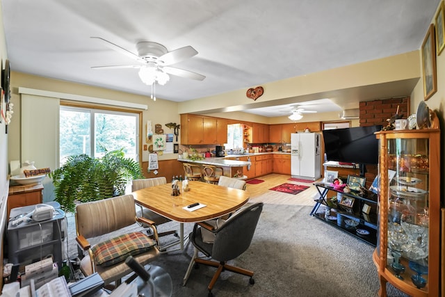 4587 E Farm Road 136, Springfield, MO 65809 - dining space featuring a ceiling fan and plenty of natural light