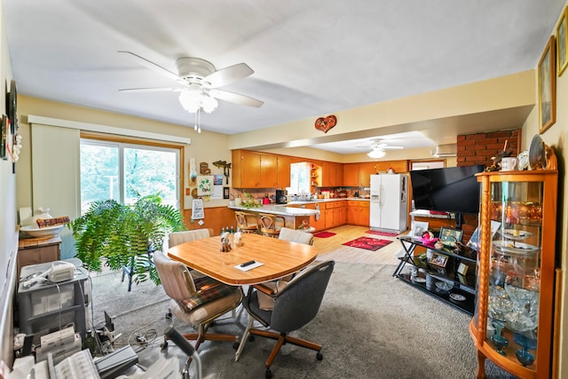 dining space featuring ceiling fan, sink, and light carpet