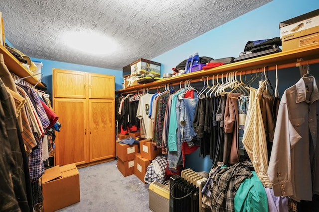 4587 E Farm Road 136, Springfield, MO 65809 - spacious closet featuring light carpet