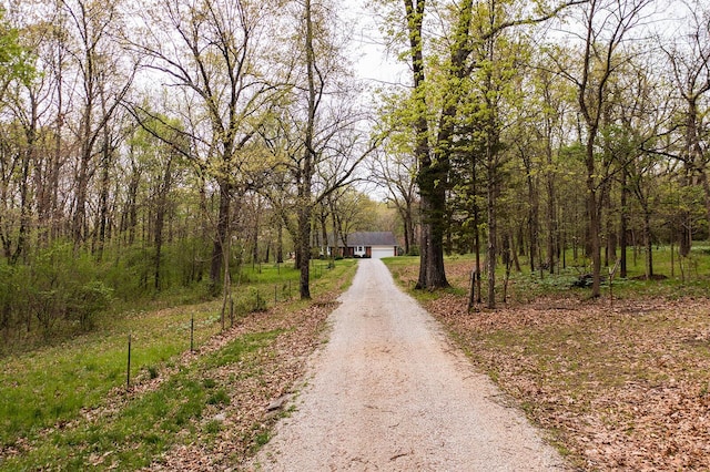 view of street featuring a view of trees and driveway