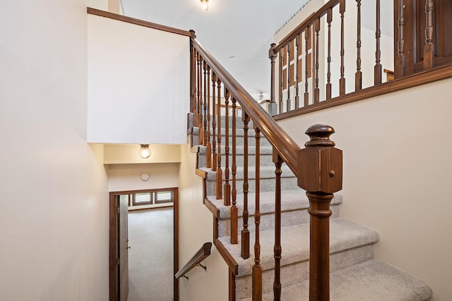 stairway featuring carpet floors