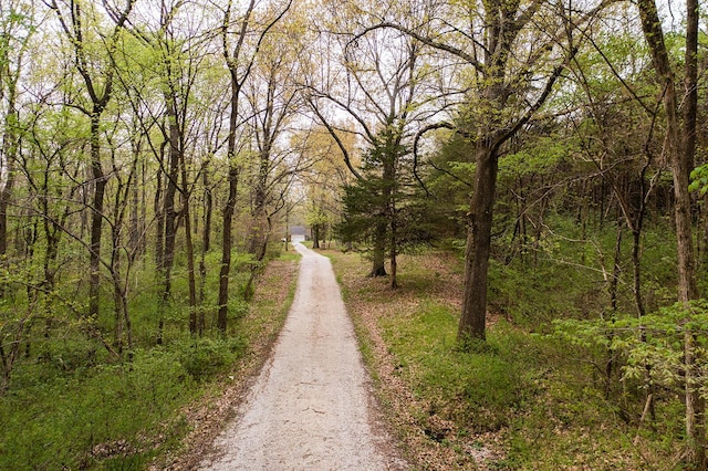 view of road featuring dirt driveway and a view of trees